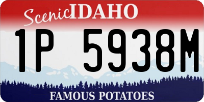 ID license plate 1P5938M