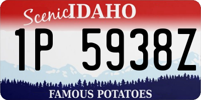 ID license plate 1P5938Z