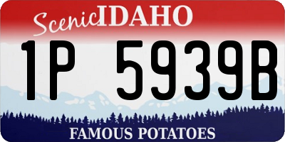 ID license plate 1P5939B