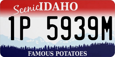 ID license plate 1P5939M