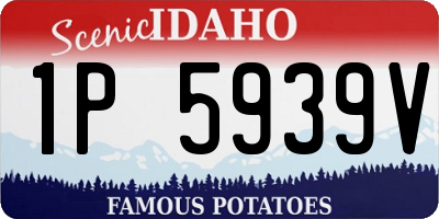 ID license plate 1P5939V