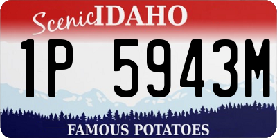 ID license plate 1P5943M