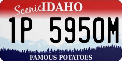 ID license plate 1P5950M
