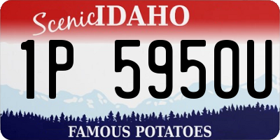ID license plate 1P5950U