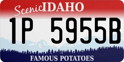ID license plate 1P5955B
