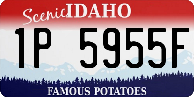 ID license plate 1P5955F