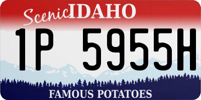 ID license plate 1P5955H