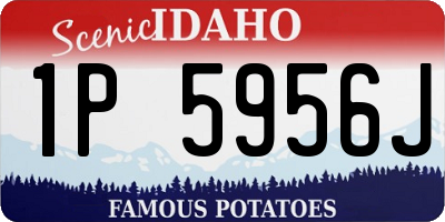 ID license plate 1P5956J