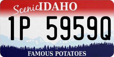 ID license plate 1P5959Q