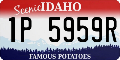 ID license plate 1P5959R