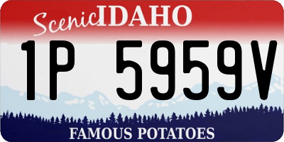 ID license plate 1P5959V