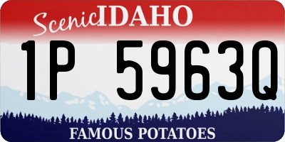 ID license plate 1P5963Q