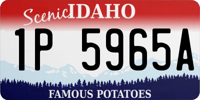 ID license plate 1P5965A