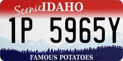 ID license plate 1P5965Y