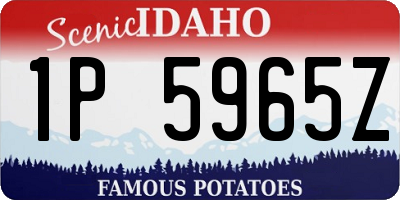 ID license plate 1P5965Z