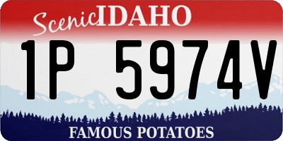 ID license plate 1P5974V