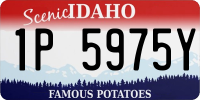 ID license plate 1P5975Y