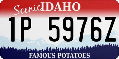 ID license plate 1P5976Z
