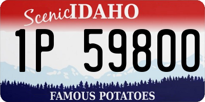 ID license plate 1P5980O