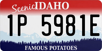 ID license plate 1P5981E