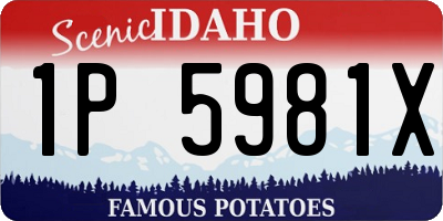 ID license plate 1P5981X