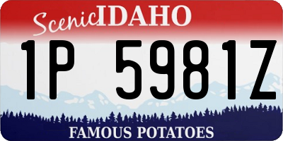 ID license plate 1P5981Z