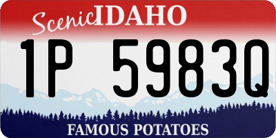 ID license plate 1P5983Q