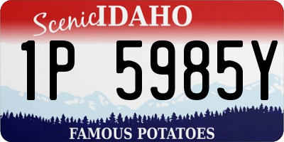 ID license plate 1P5985Y