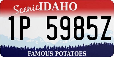 ID license plate 1P5985Z