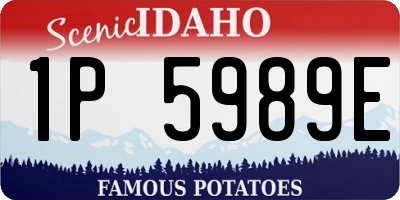 ID license plate 1P5989E