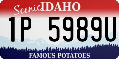 ID license plate 1P5989U