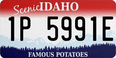 ID license plate 1P5991E