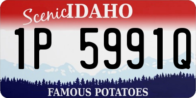 ID license plate 1P5991Q