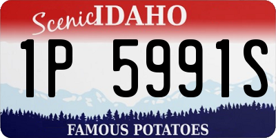 ID license plate 1P5991S