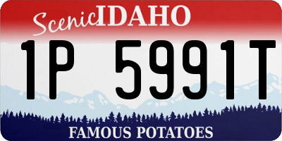 ID license plate 1P5991T