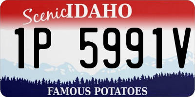 ID license plate 1P5991V