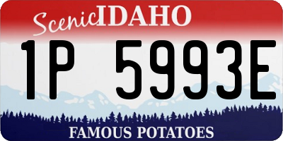 ID license plate 1P5993E