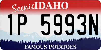 ID license plate 1P5993N