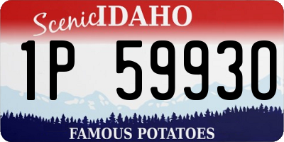 ID license plate 1P5993O