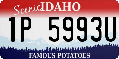 ID license plate 1P5993U