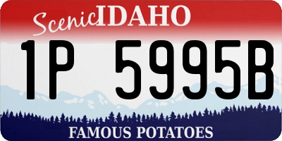 ID license plate 1P5995B