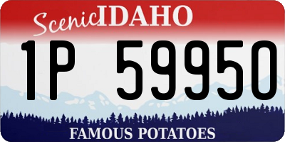 ID license plate 1P5995O