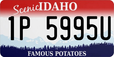 ID license plate 1P5995U