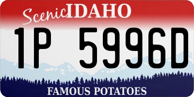 ID license plate 1P5996D