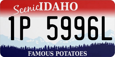 ID license plate 1P5996L