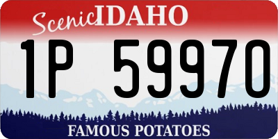 ID license plate 1P5997O