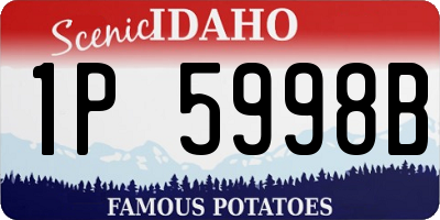 ID license plate 1P5998B