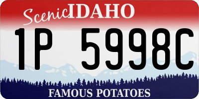 ID license plate 1P5998C