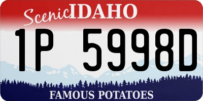 ID license plate 1P5998D