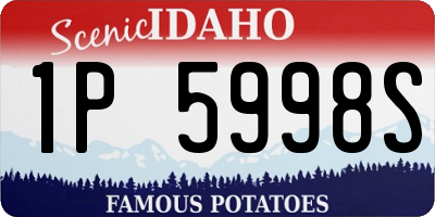 ID license plate 1P5998S